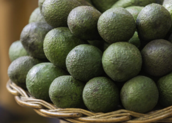 Revolutionizing Kenyan Avocado Farming with Blockchain Technology