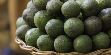 Revolutionizing Kenyan Avocado Farming with Blockchain Technology