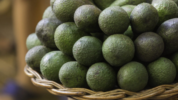 Revolutionizing Kenyan Avocado Farming with Blockchain Technology